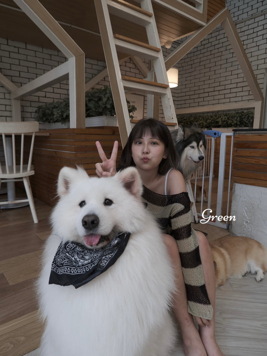 【 秋冬comeback 】Knit See-Through Striped Crop Top